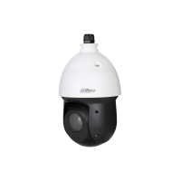 DAHUA IP CAM Speed Dome 4MP 120mm (SD49425XB-HNR)