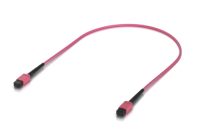Ubiquiti UniFi OM4 MPO-12 UPC Fiber Patch Cable (UACC-OFC-MA-MPMP-0.5M-10)
