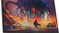 DL MONITOR 23.8" SE2425HG 1920x1080 LED (SE2425HG)