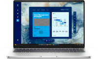 Laptop DELL PRO 16, 16", Non-Touch, FHD+, 300 nit, 45% NTSC, Anti-Glare, FHD+IR Cam, Fingerprint Reader, Non-vPro, Platinum silver color, metallic finish, Intel(R) Core(TM) Ultra 7 255U (12 TOPS NPU, 12 cores, up to 5.2 GHz), Integrated Intel graphics, 16 GB: 1 x 16 GB, DDR5, 5600 MT/s (5200 MT/s (BTO107_PC16250_EMEA)