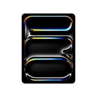 Apple 13-inch iPad Pro (M4) Cellular 1TB with Standard glass - Silver (2024) (MVXX3HC/A)