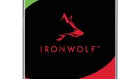 HDD Seagate IronWolf 4TB SATA-III 5400RPM 256MB (ST4000VN006)