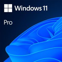 Licenta OEM Microsoft Windows 11 Pro 64 bit Romanian (FQC-10546)