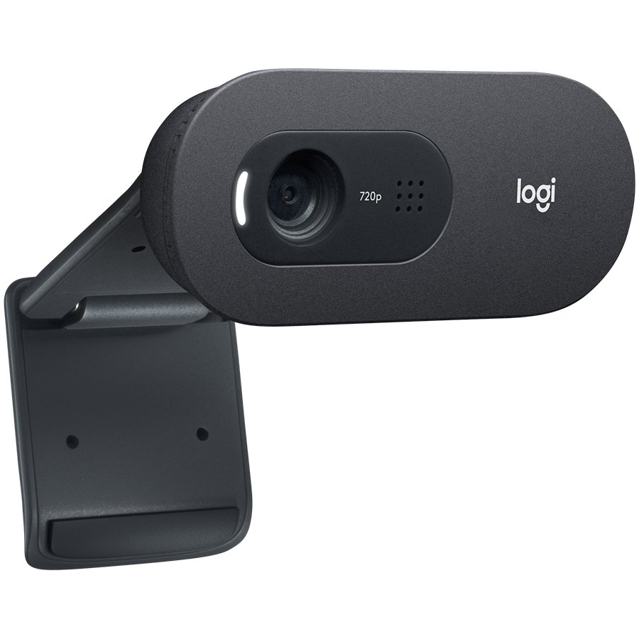 LOGITECH C505E WEBCAM - WW (960-001372) - imagine 3