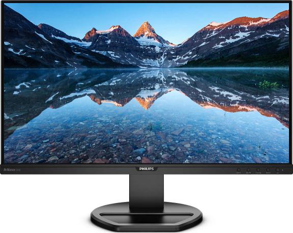 Monitor Philips 25" 252B9/00 (252B9/00)