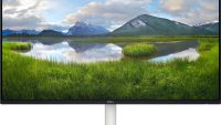 Monitor Dell 23.8" S2425H, 60.47 cm, 100Hz, 4Ms (S2425H)