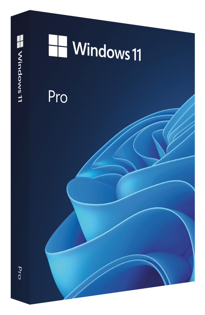 Win 11 Pro FPP P2 32-bit/64-bit RO USB (HAV-00197)