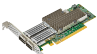 SYNOLOGY P2100G Ethernet adapter | 2x 100GbE QSFP (P2100G)